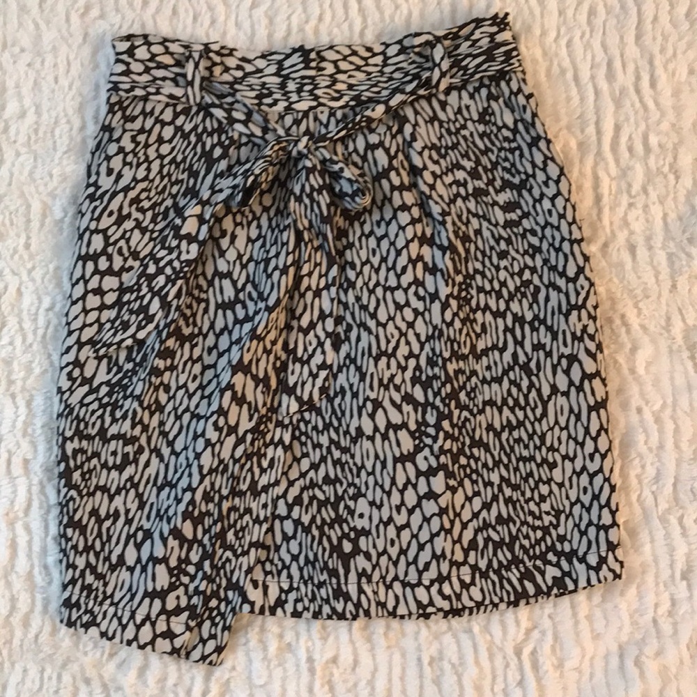 Zara Basic Skirt